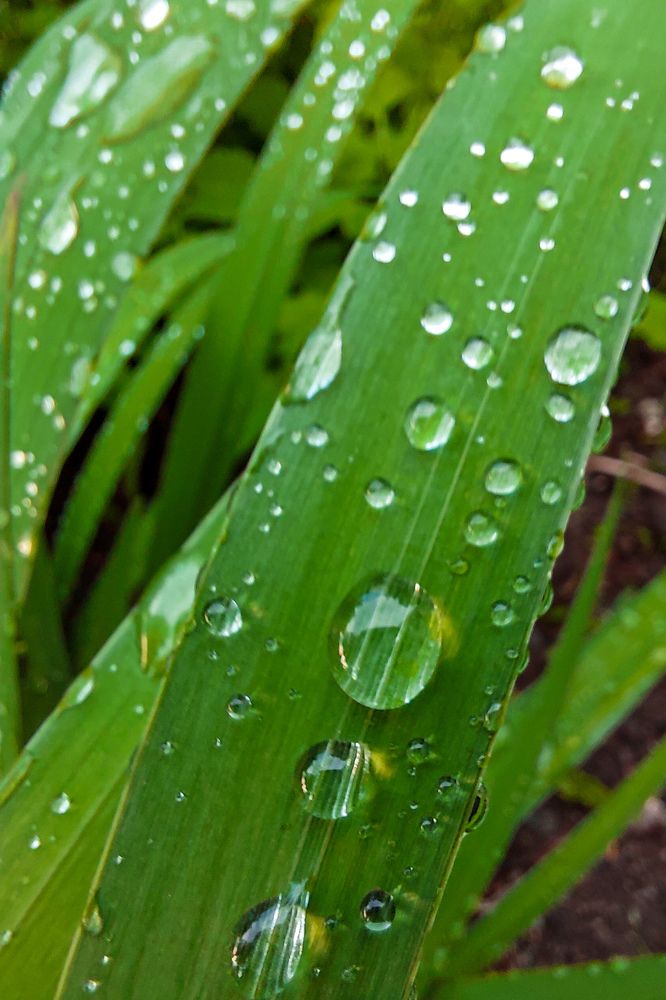 Photograph by Светлана Шиляева