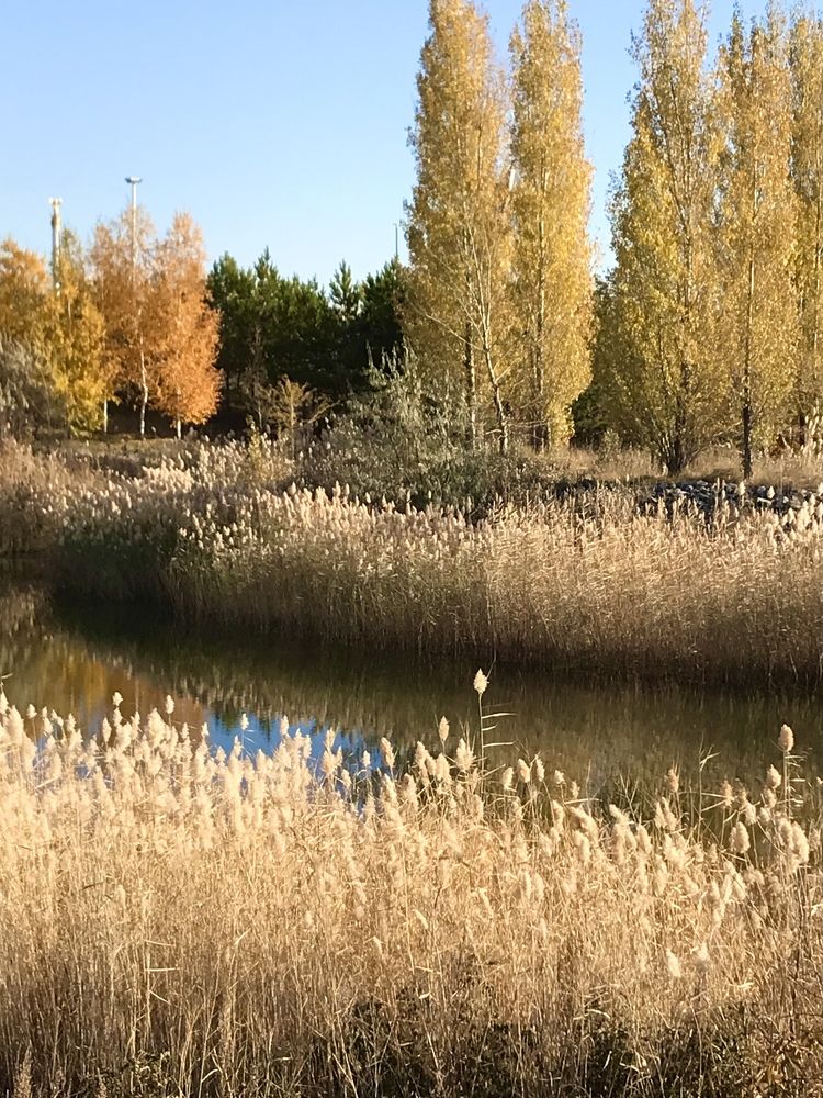 Photograph by Анар Амирова