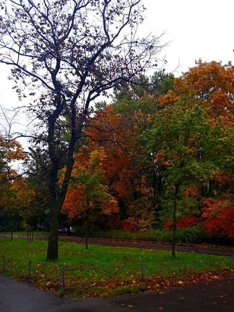 Photograph by Наталия Колемасова