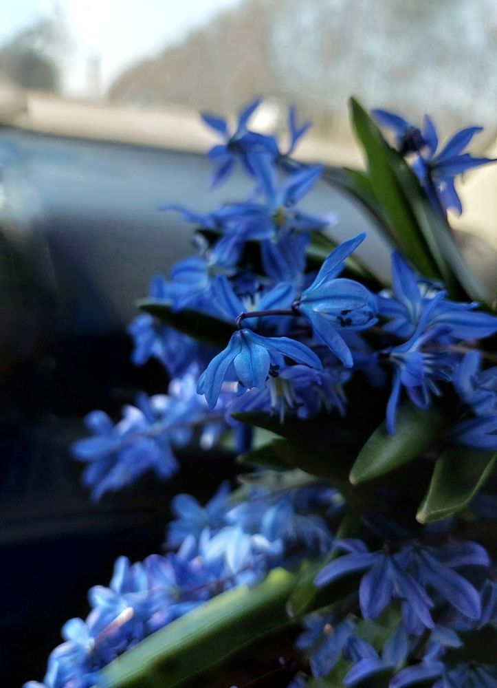 Photograph by Наталья Ткаченко