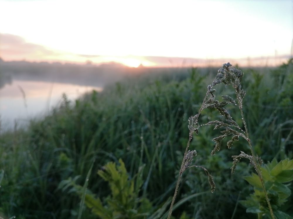 Photograph by Наталья Веряскина