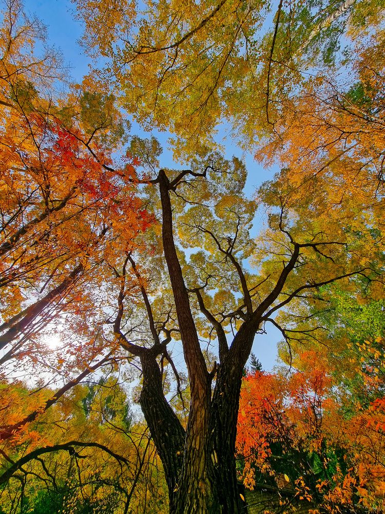 Photograph by Сергей Кесаев