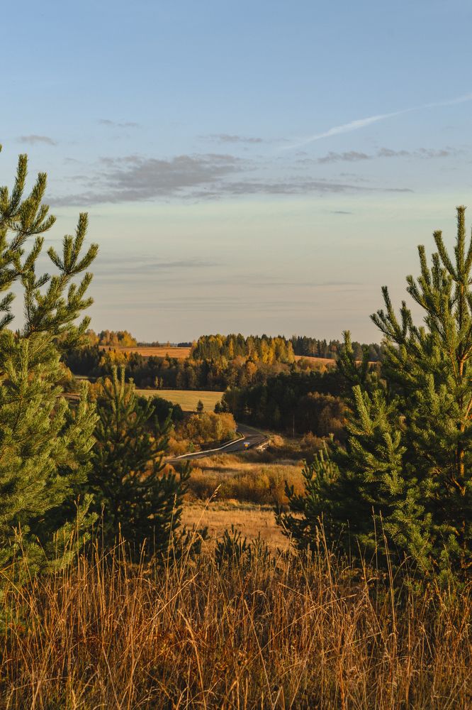 Фотография автора Андрей Набоков