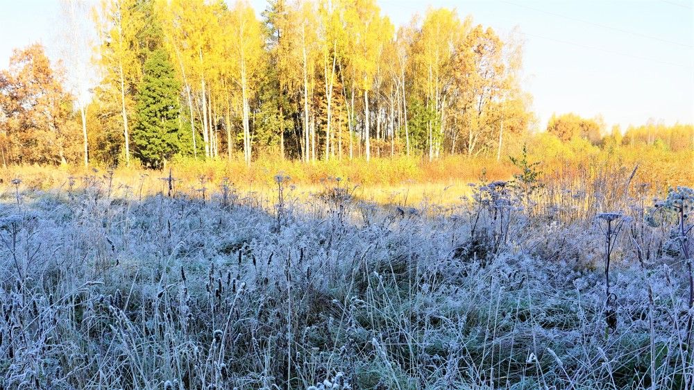 Photograph by Михаил Трусов