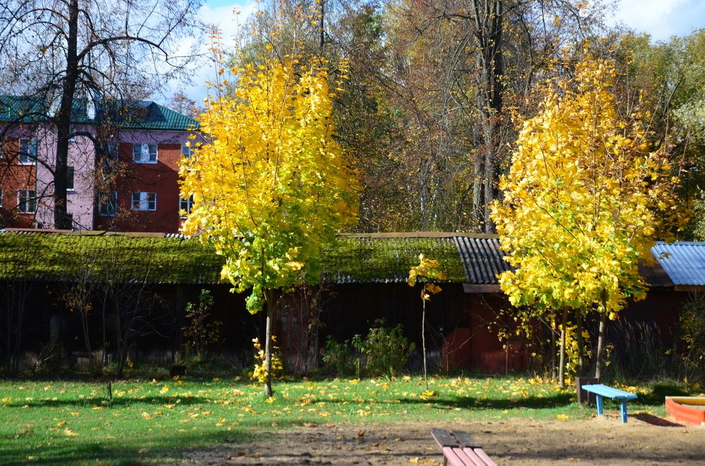 Photograph by Константин