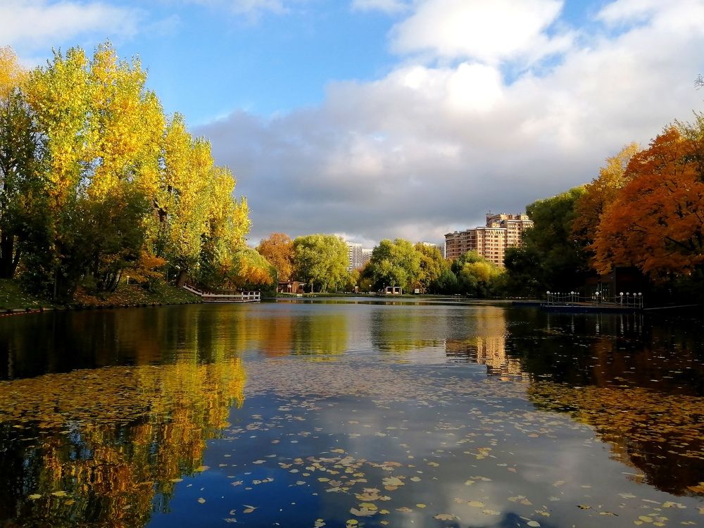 Photograph by Светлана Веселовская