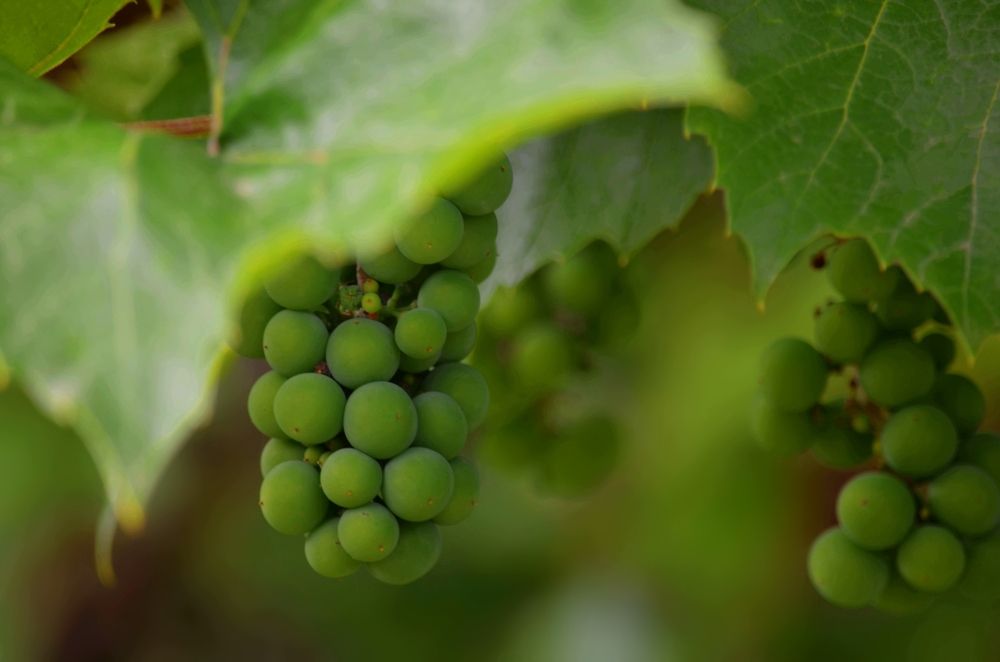 Photograph by Наталья Иванова