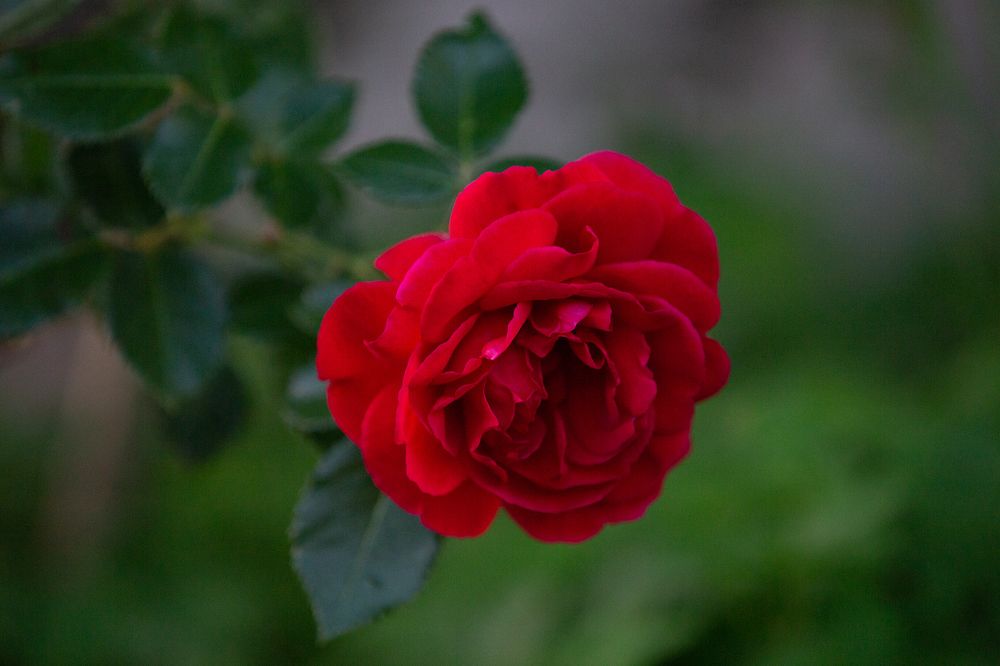 Photograph by Anatoliy Buyanov