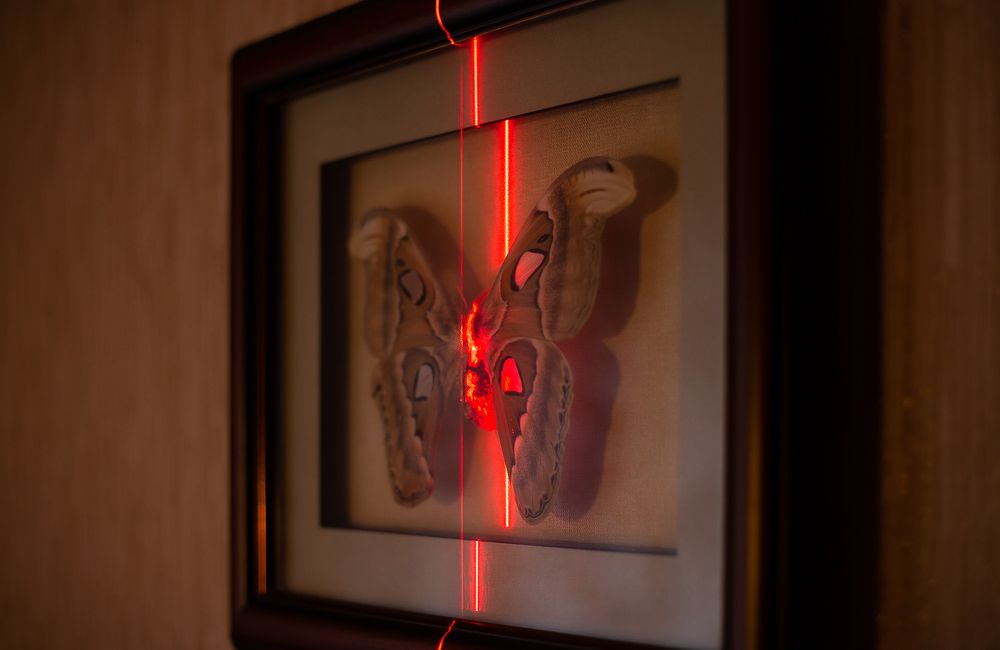 Photograph by Anatoliy Buyanov