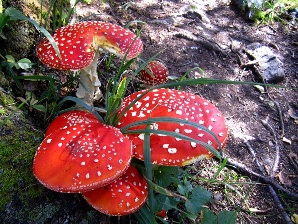 Photograph by Наталья Дубовкина