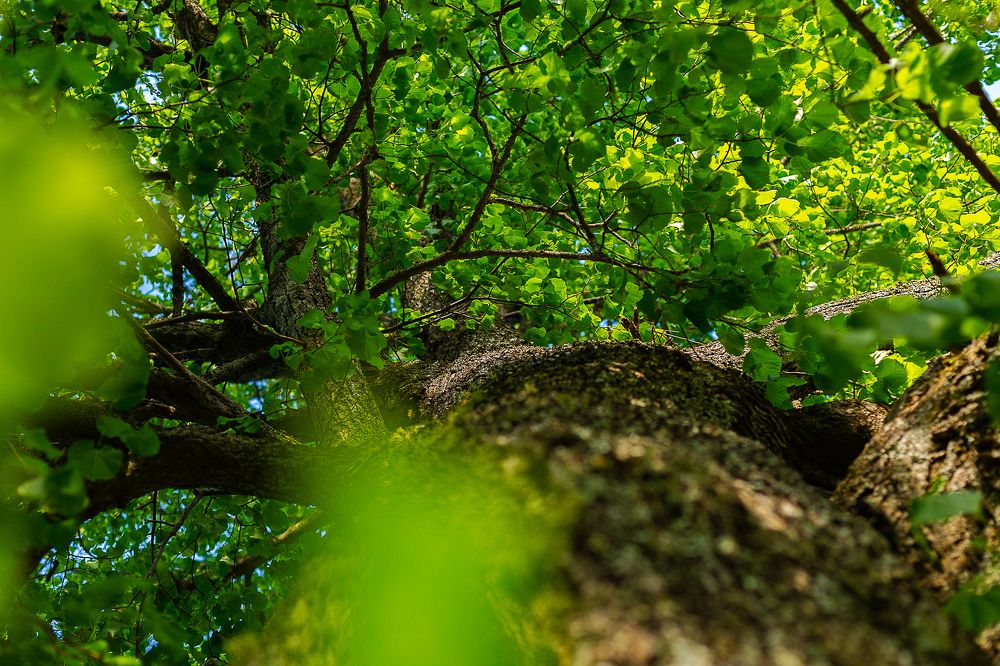 Photograph by Anatoliy Buyanov