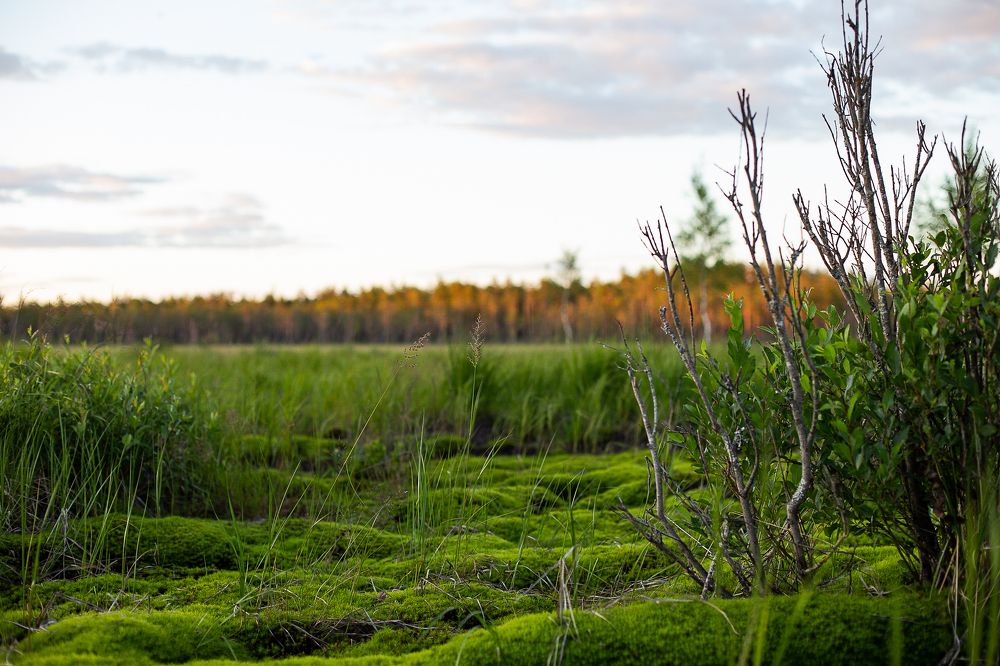 Photograph by Anatoliy Buyanov