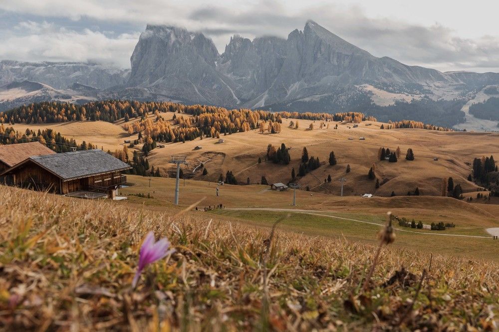 Photograph by Evgenia Shtreys