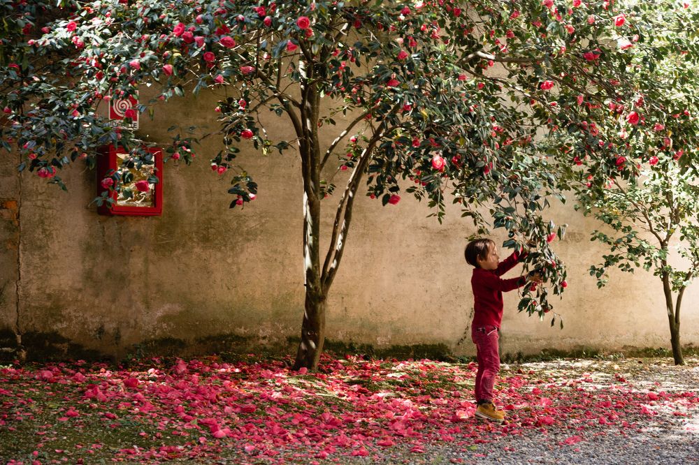 Photograph by Evgenia Shtreys