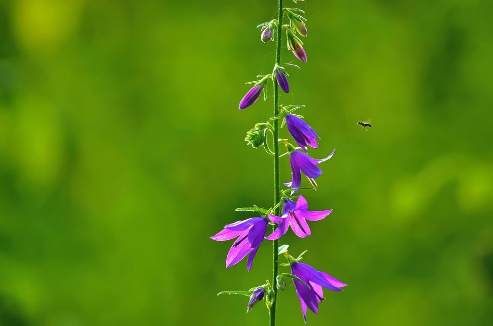 Photograph by Наталья Иванова