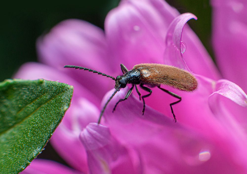 Фотография автора Renat Mansurov