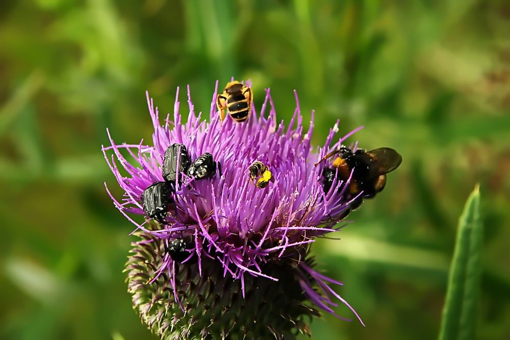 Photograph by Александр