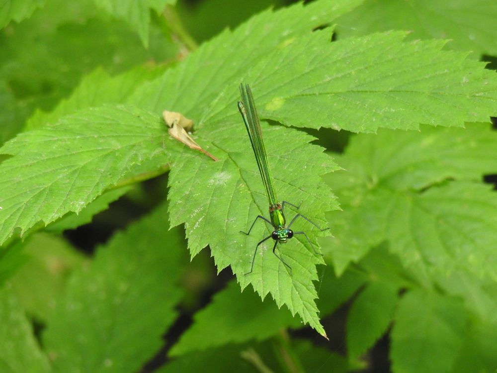 Photograph by Георгий Салюков