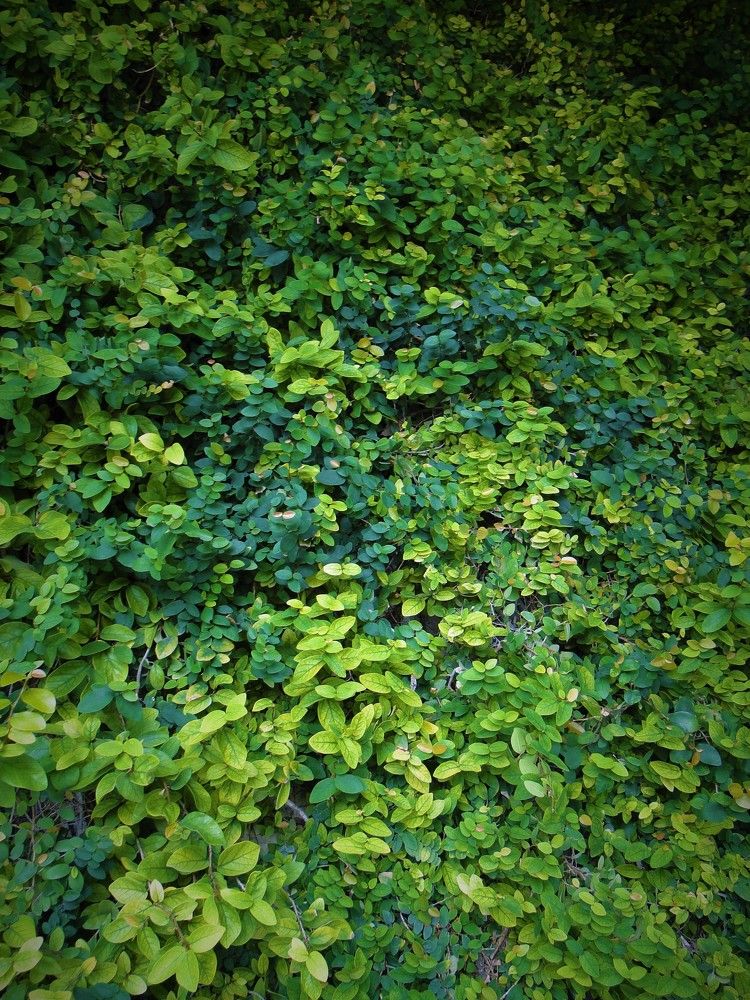 Photograph by Оксана Архипова