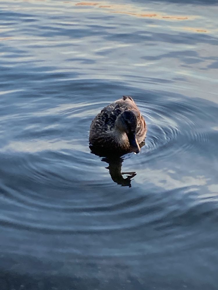 Photograph by Вера Романова