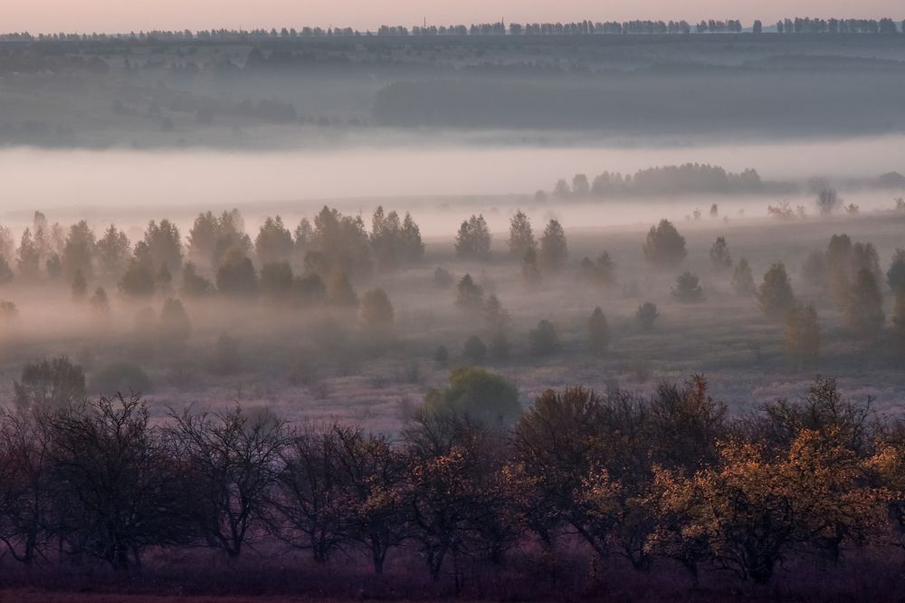 Photograph by Александрова Ольга