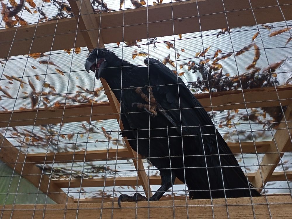 Photo #8135213