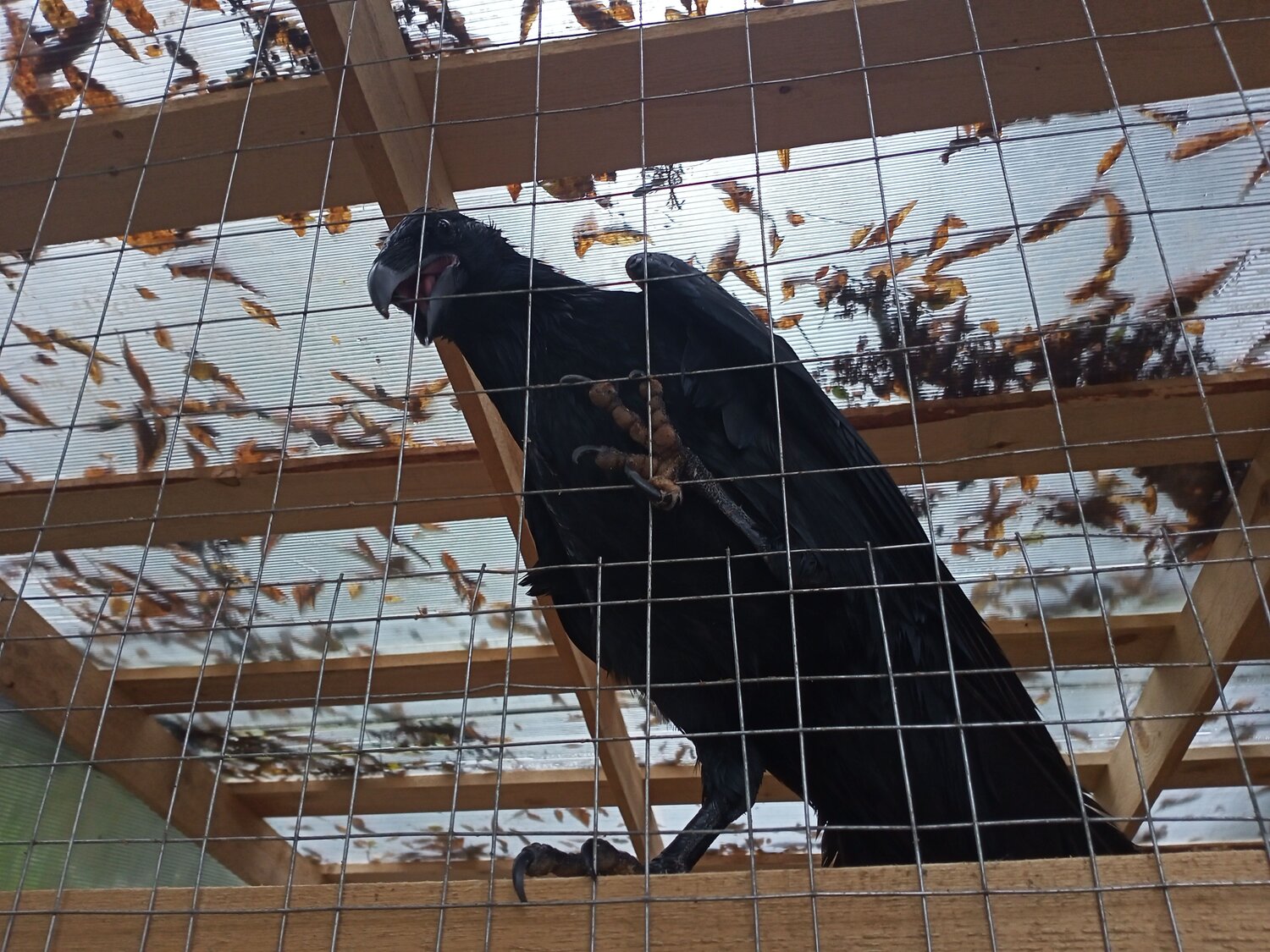 Photo #8135213