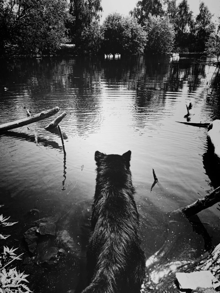 Photograph by Мария Опритова