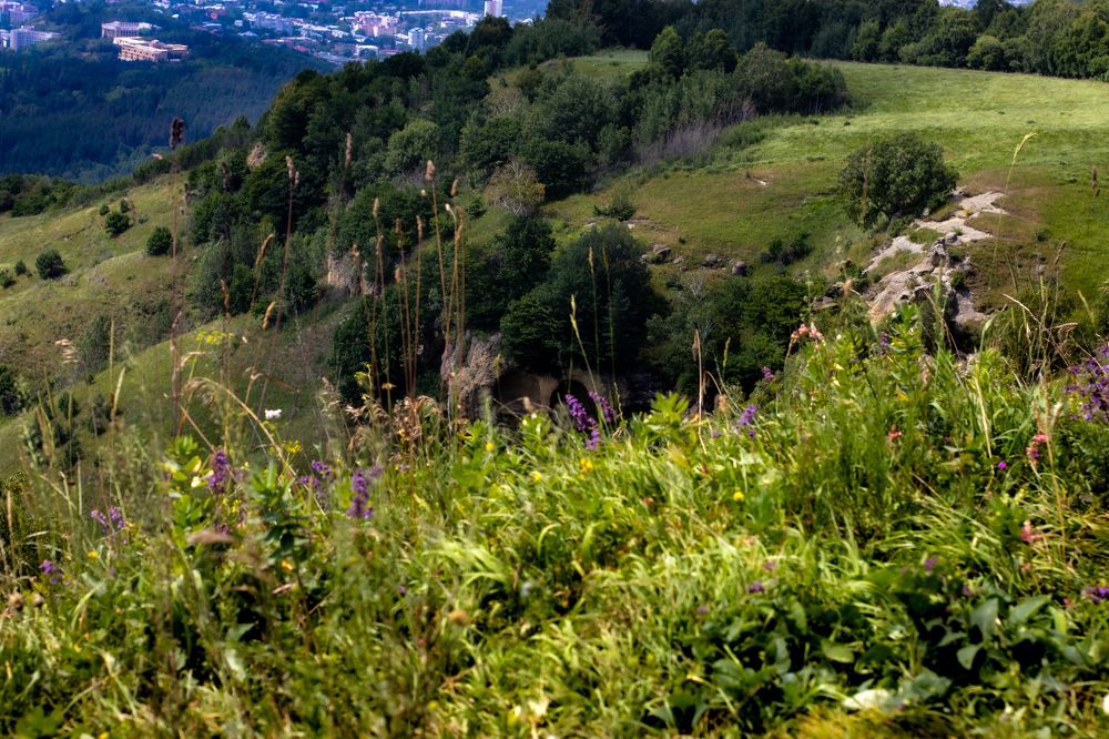 Photograph by Сергей Аникушин