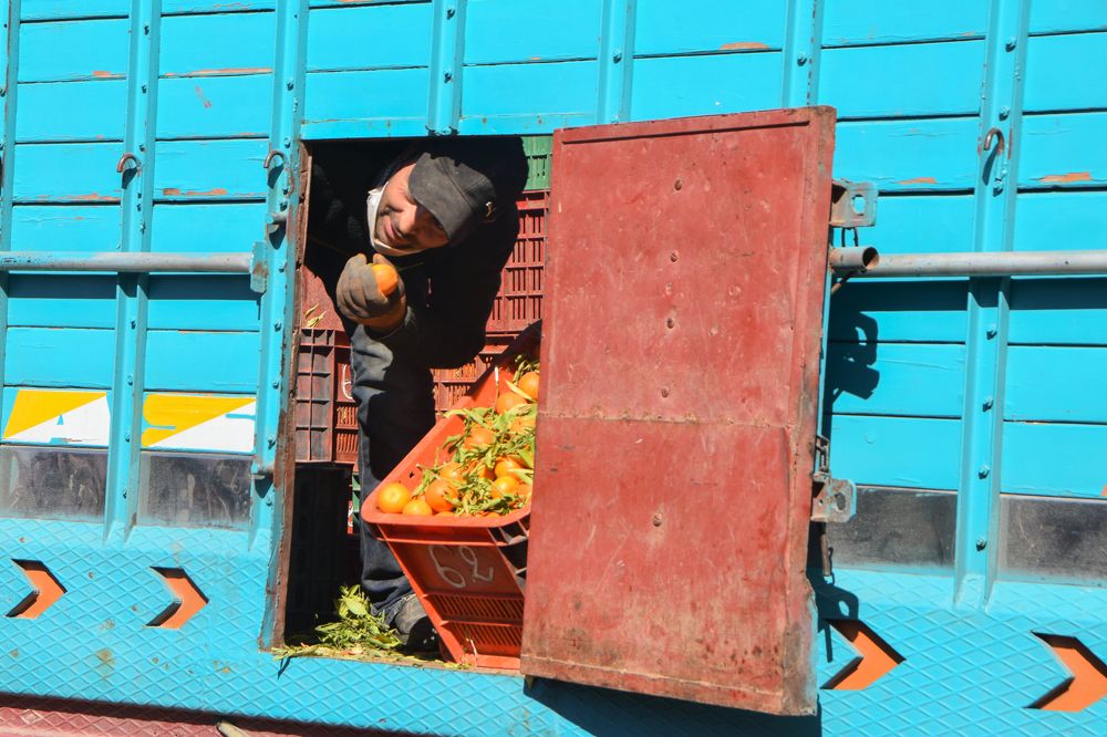 Photograph by SARA BOUKHLAL