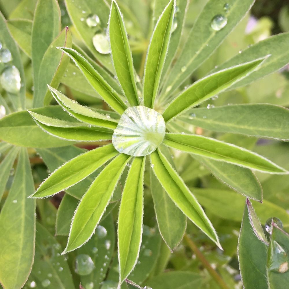 Фотография автора Василий Здоровецкий