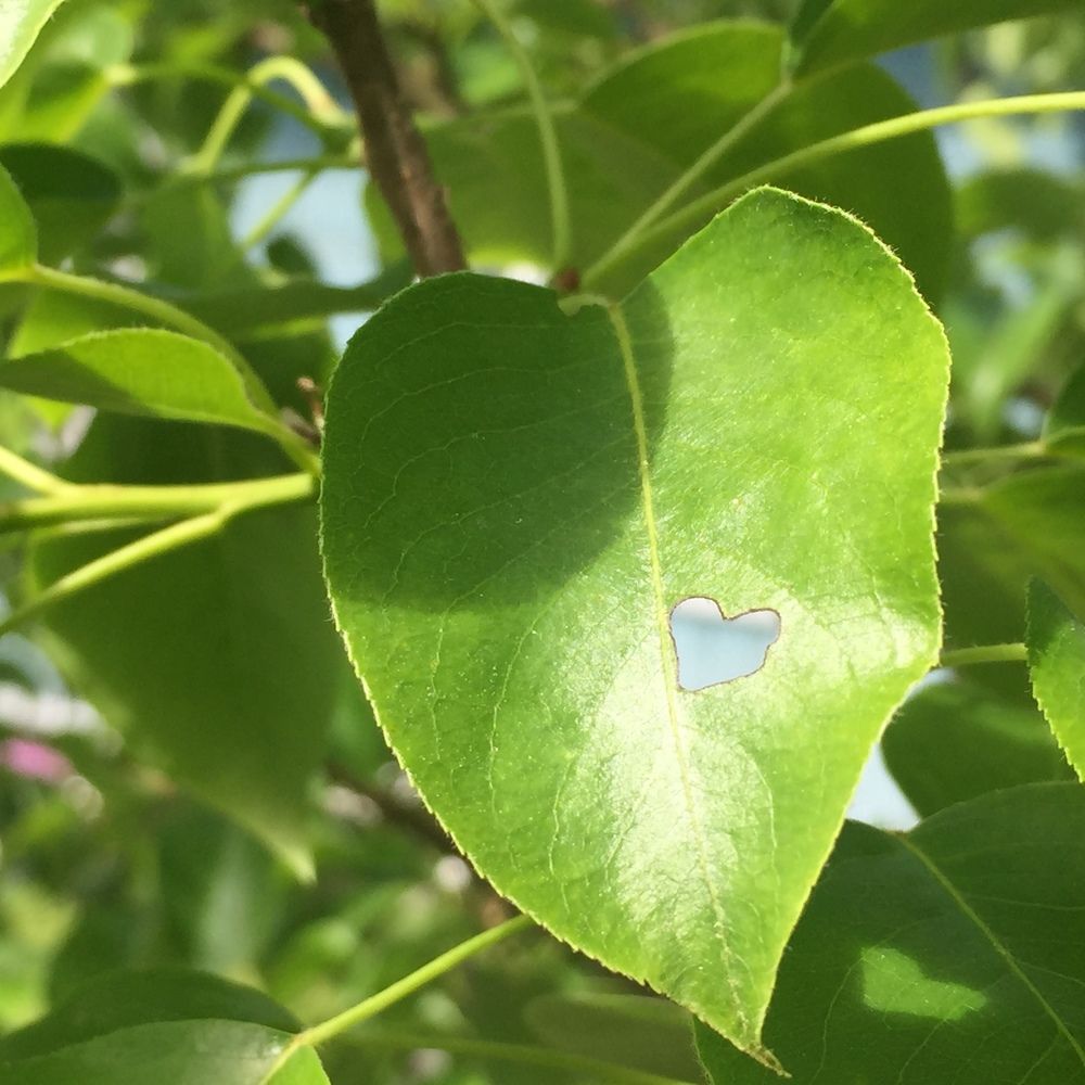 Фотография автора Василий Здоровецкий