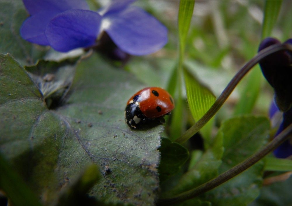 Photograph by Оксана Архипова