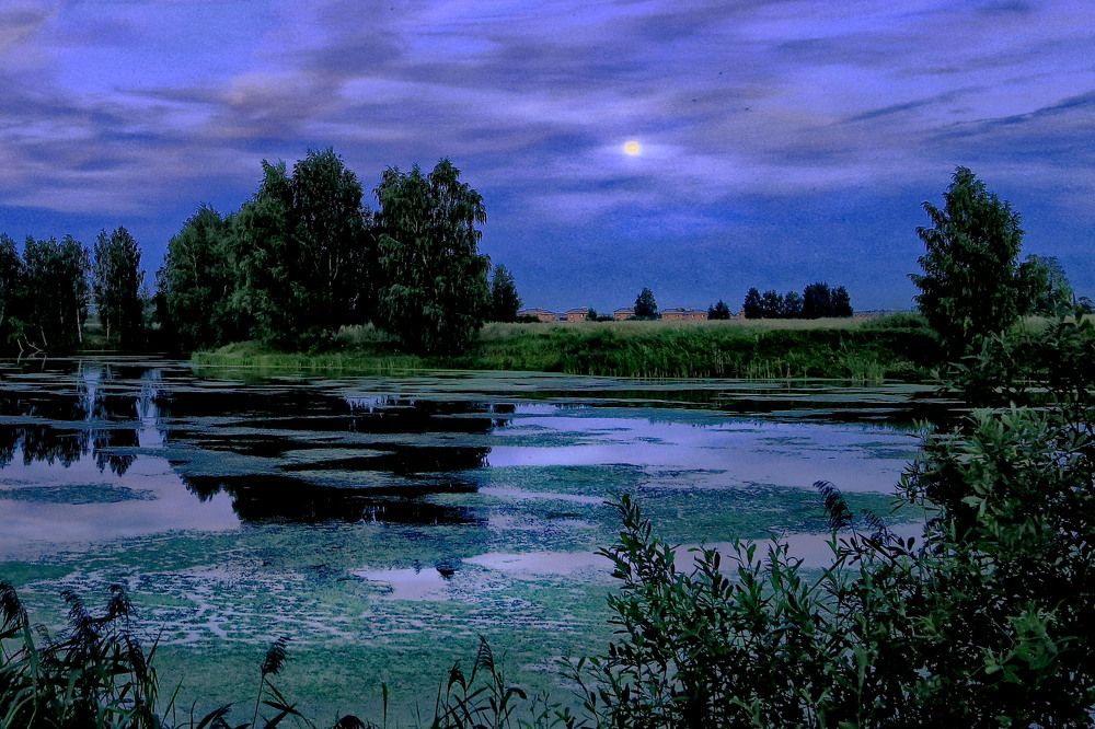 Photograph by Моложников Юрий