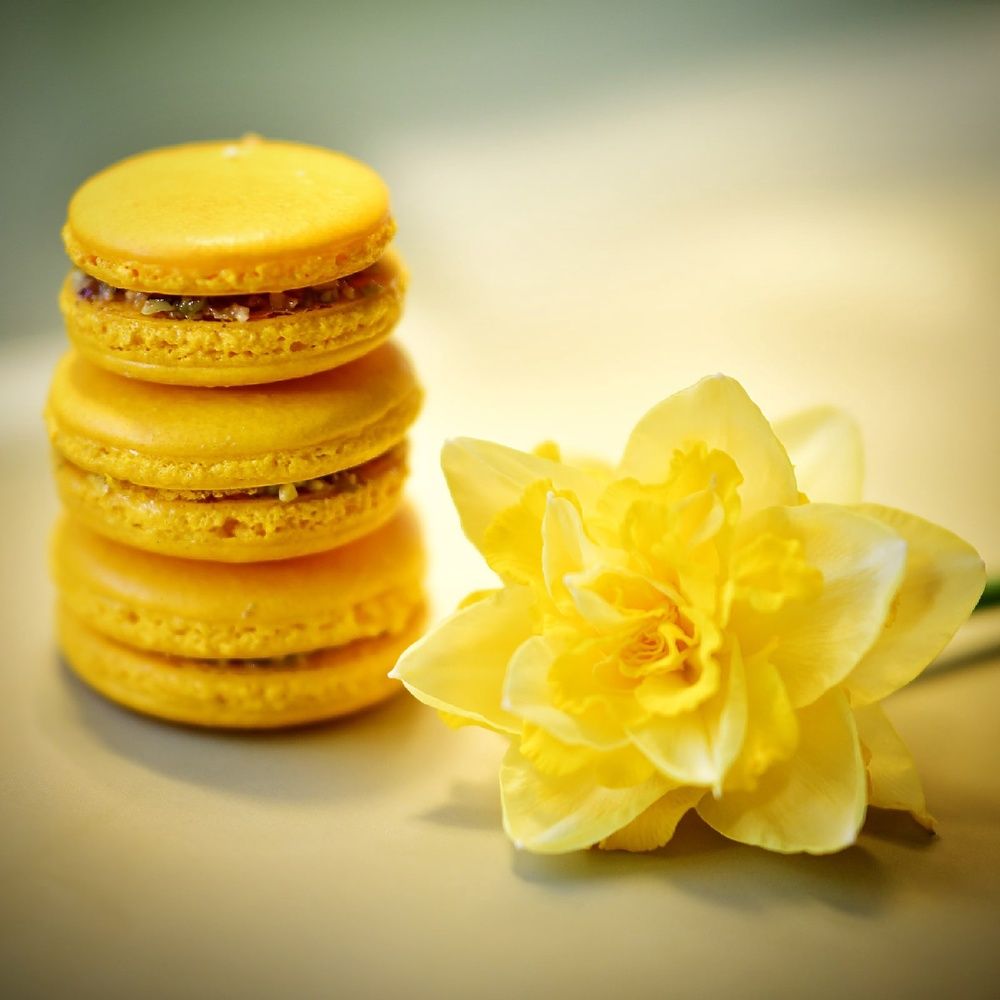 Photograph by Елена