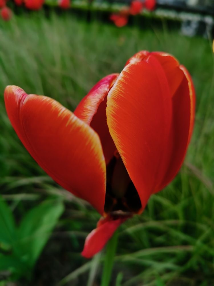 Photograph by Наталья Круглова