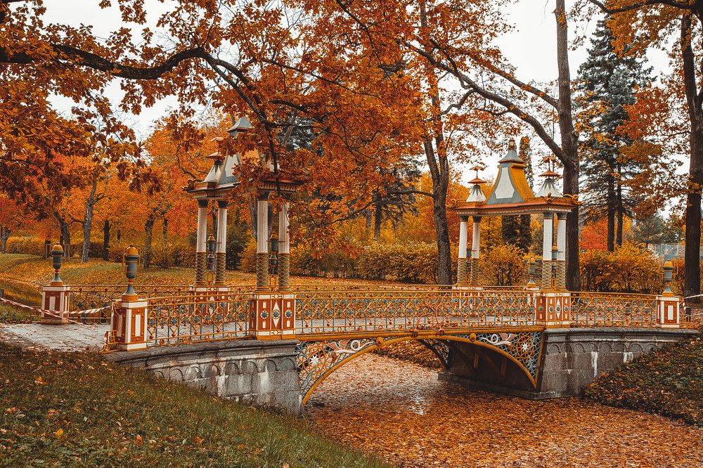 Фотография автора Андрей Редьков