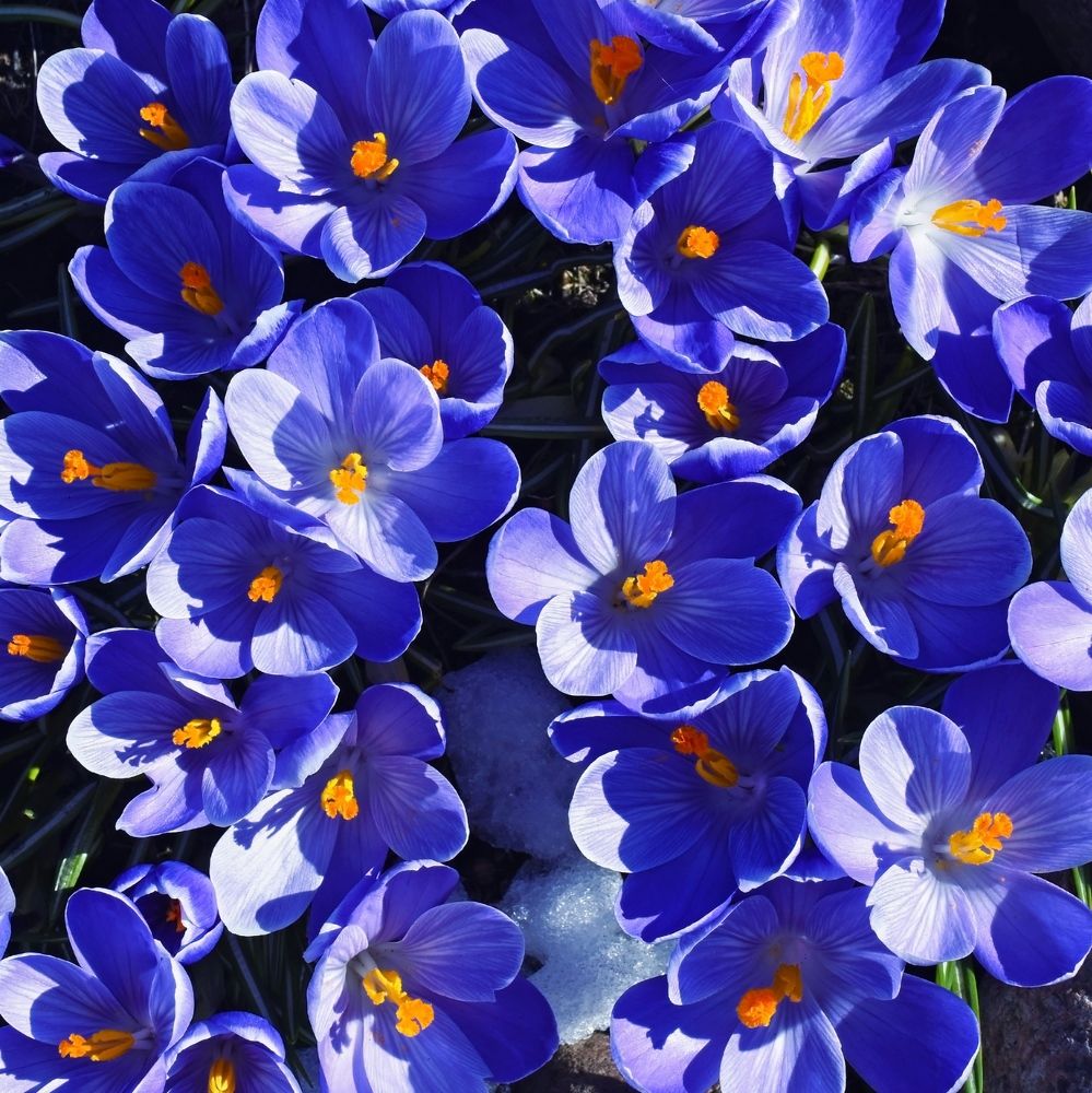 Photograph by Елена Павлова