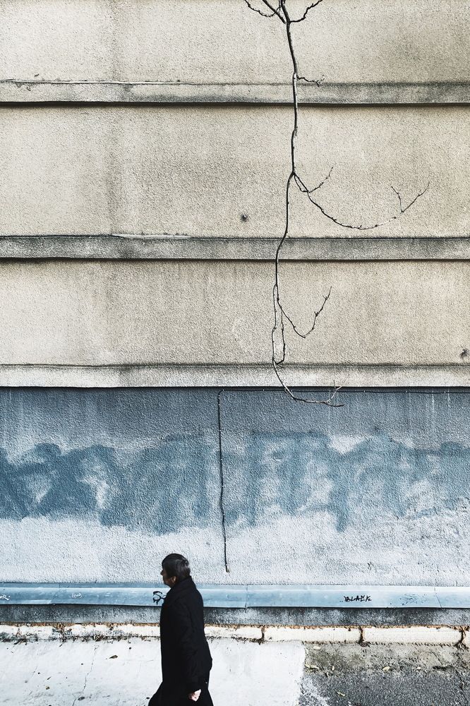 Photograph by Loptev Andrey