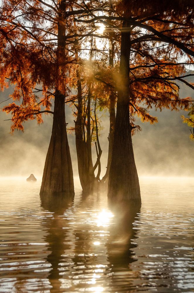 Photograph by София Носкова