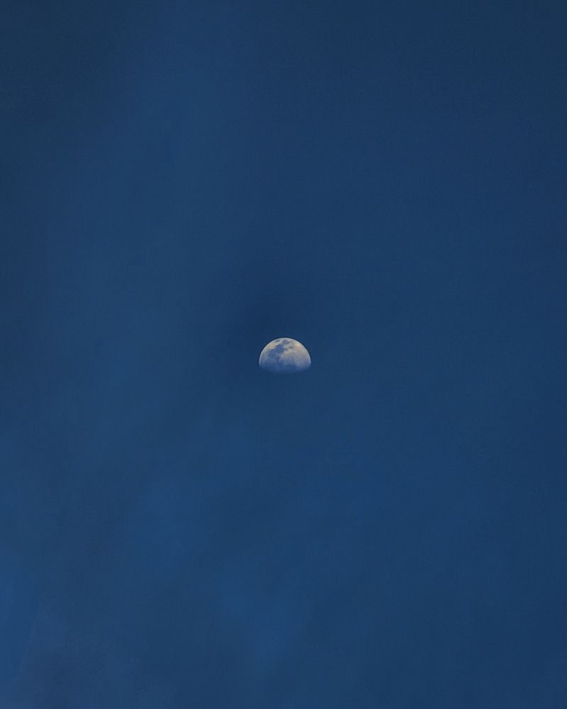 Photograph by Vishnu Subhash