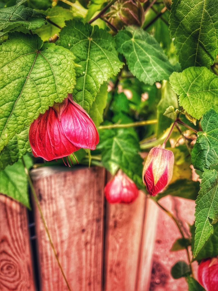 Photograph by Alexander Shcherbakov