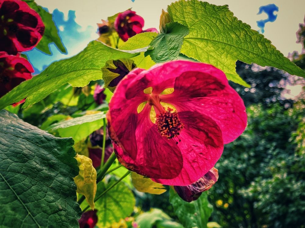 Photograph by Alexander Shcherbakov