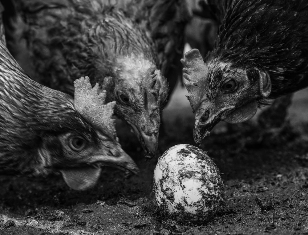 Photograph by Роман