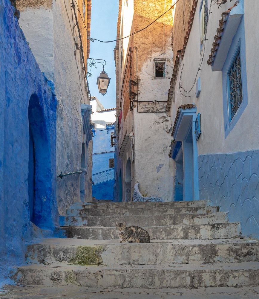 Photograph by Илья Поляк