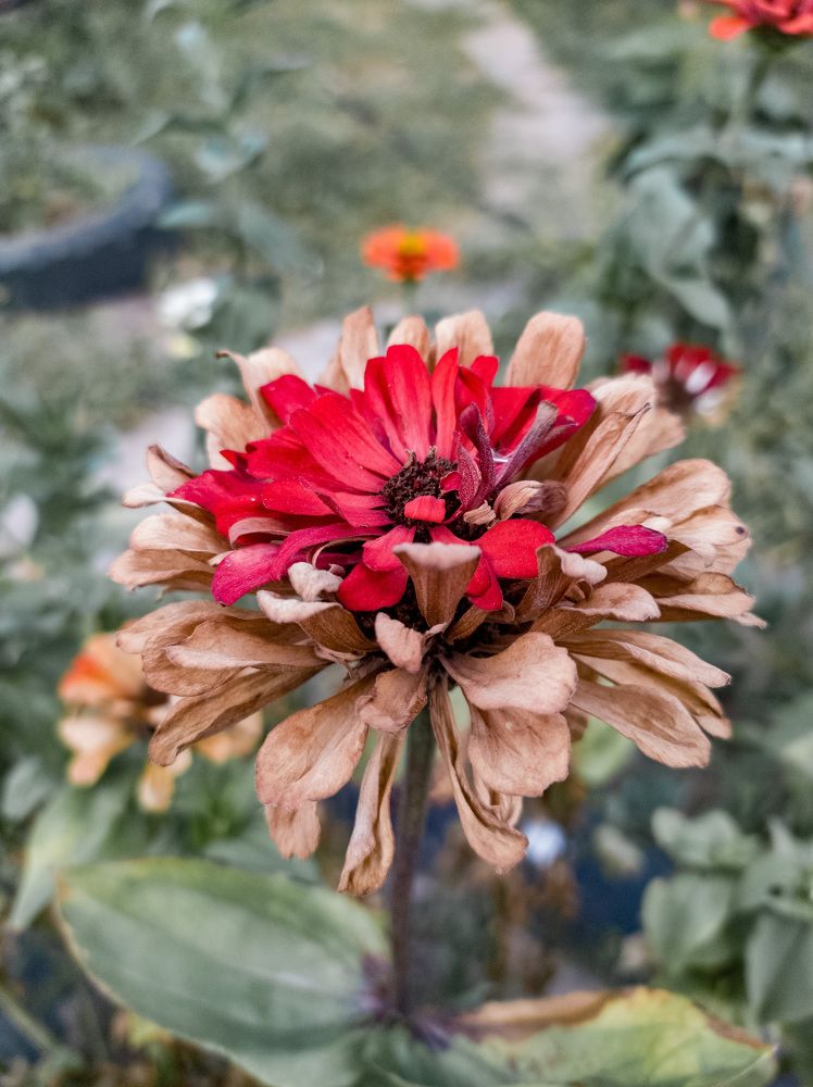 Photograph by Усевалад Куліш