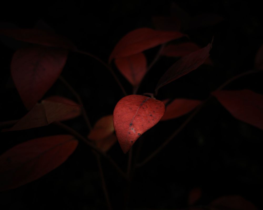 Photograph by Усевалад Куліш