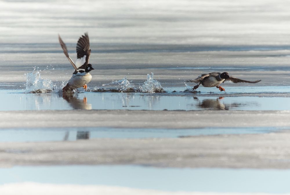 Кто быстрее???