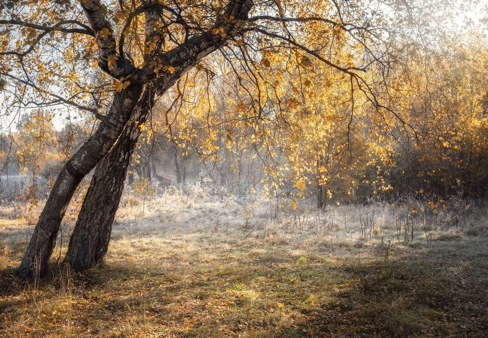 Photograph by Мозжухин Максим