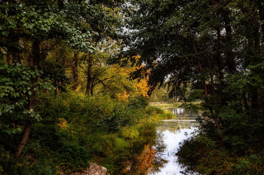 Photograph by Владимир Кваша
